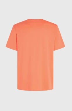 Clearance O’Neill Mix And Match Palm T-shirt | Living Coral