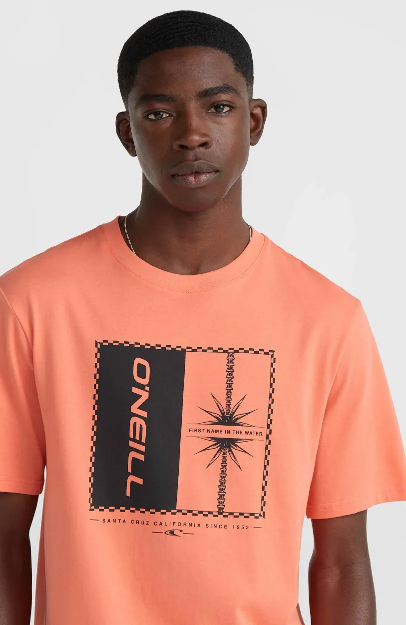 Clearance O’Neill Mix And Match Palm T-shirt | Living Coral
