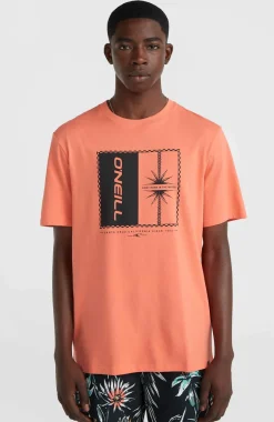 Clearance O’Neill Mix And Match Palm T-shirt | Living Coral