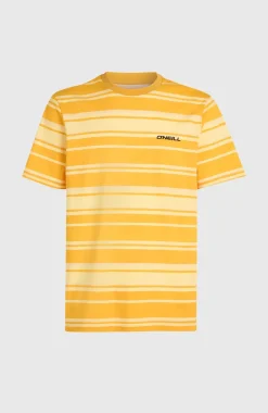 Sale O’Neill Mix And Match Stripe T-shirt | Yellow Bold Stripes