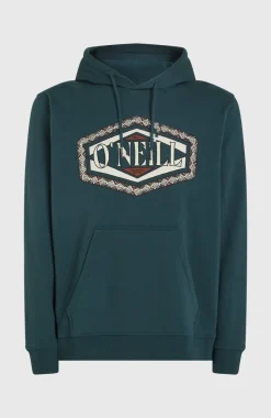 Discount O’Neill O'Neill Front Print Hoodie | Alma Steel