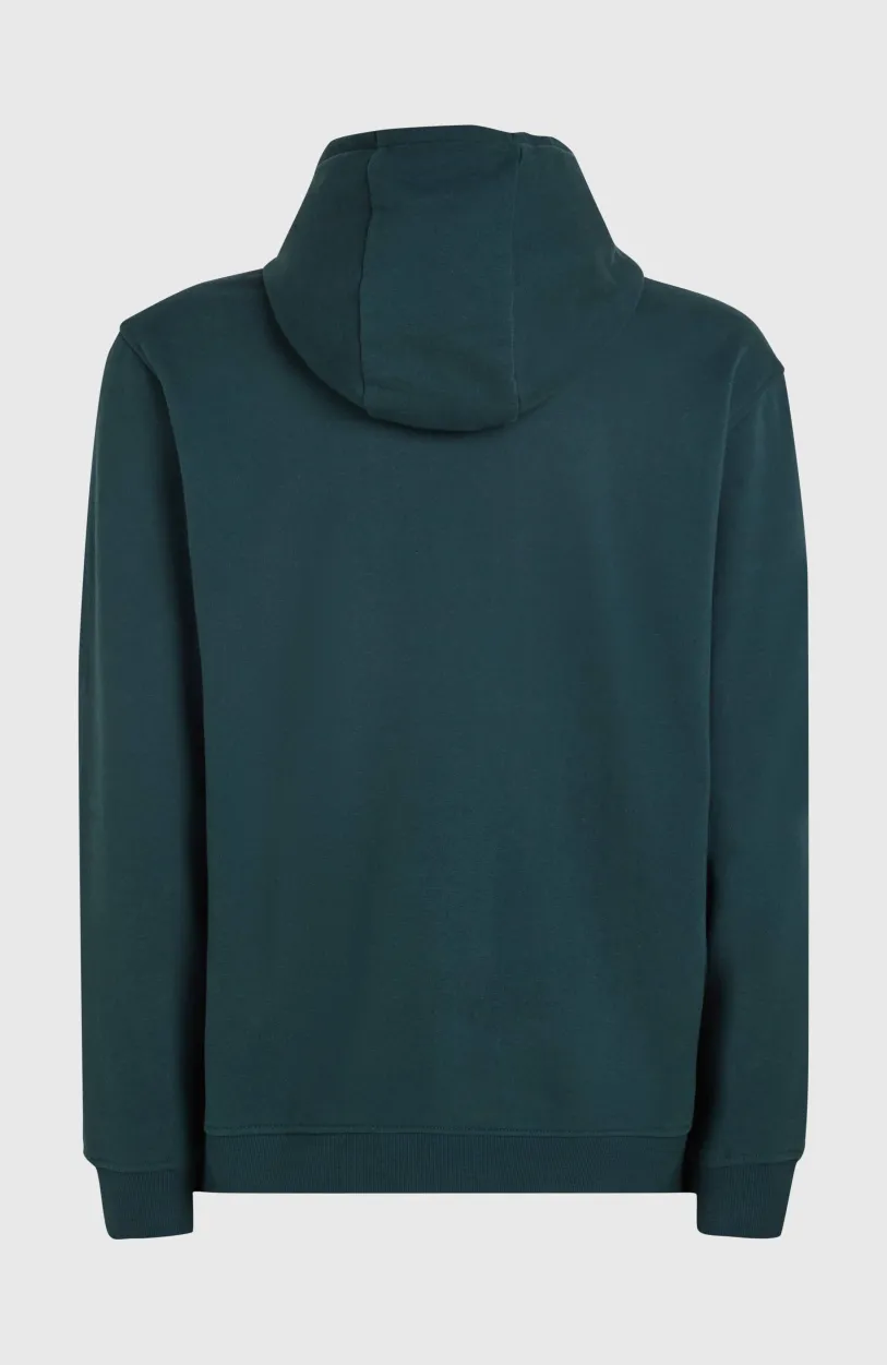 Discount O’Neill O'Neill Front Print Hoodie | Alma Steel