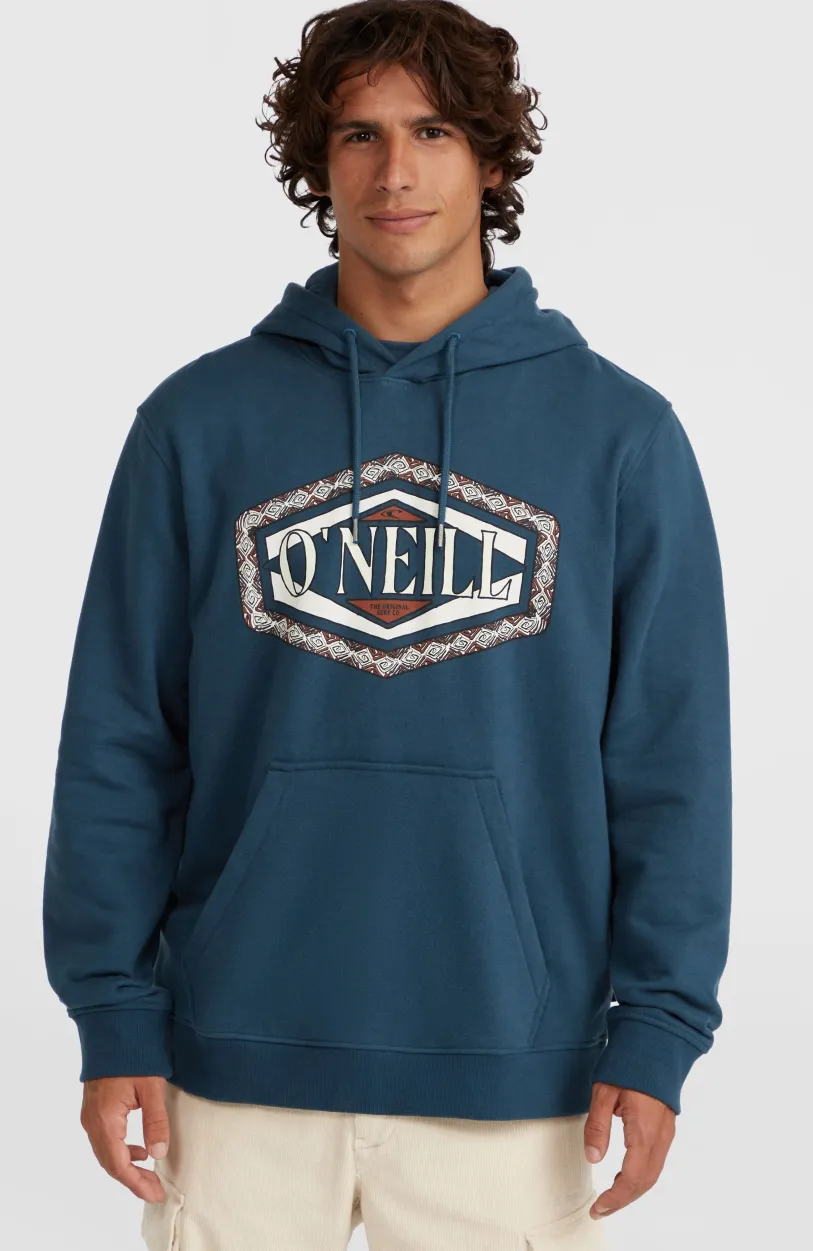 Discount O’Neill O'Neill Front Print Hoodie | Alma Steel