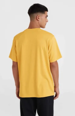 Online O’Neill O'Neill Hybrid Logo Polygiene T-shirt | Golden Haze