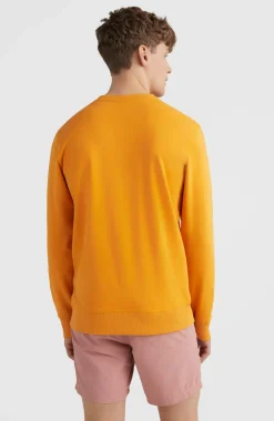 New O’Neill O'Neill Logo Crew Sweater | Nugget
