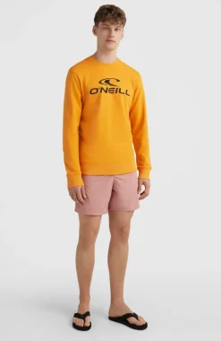 New O’Neill O'Neill Logo Crew Sweater | Nugget