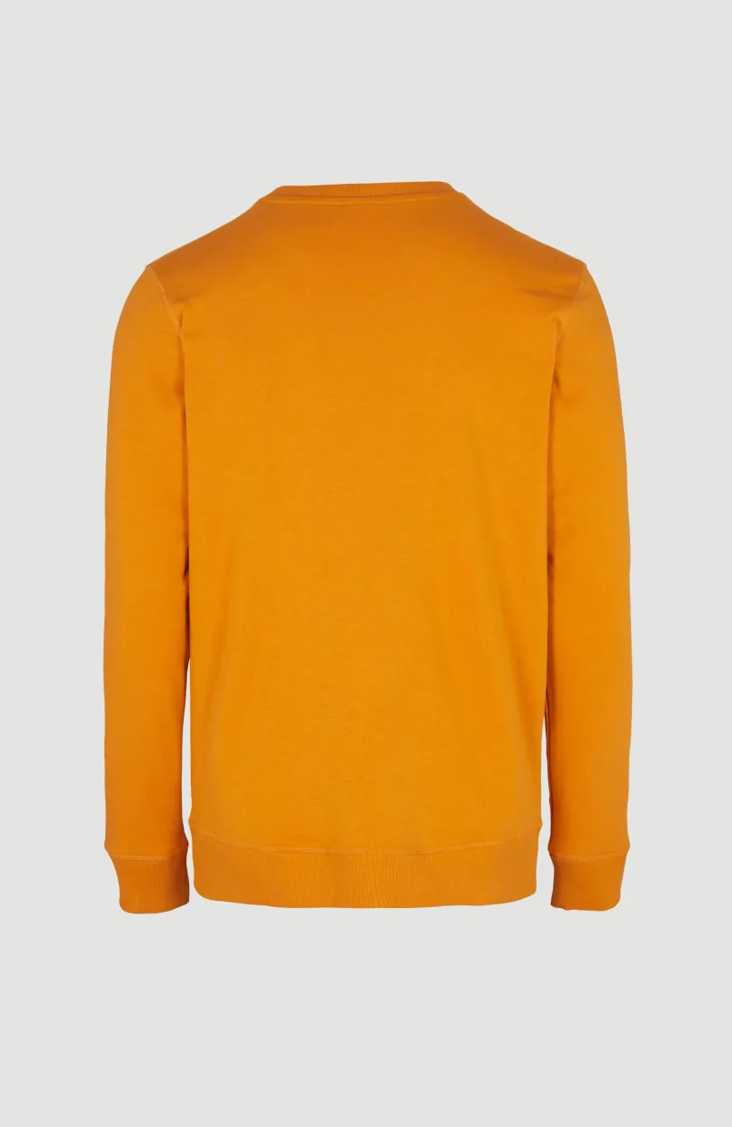 New O’Neill O'Neill Logo Crew Sweater | Nugget
