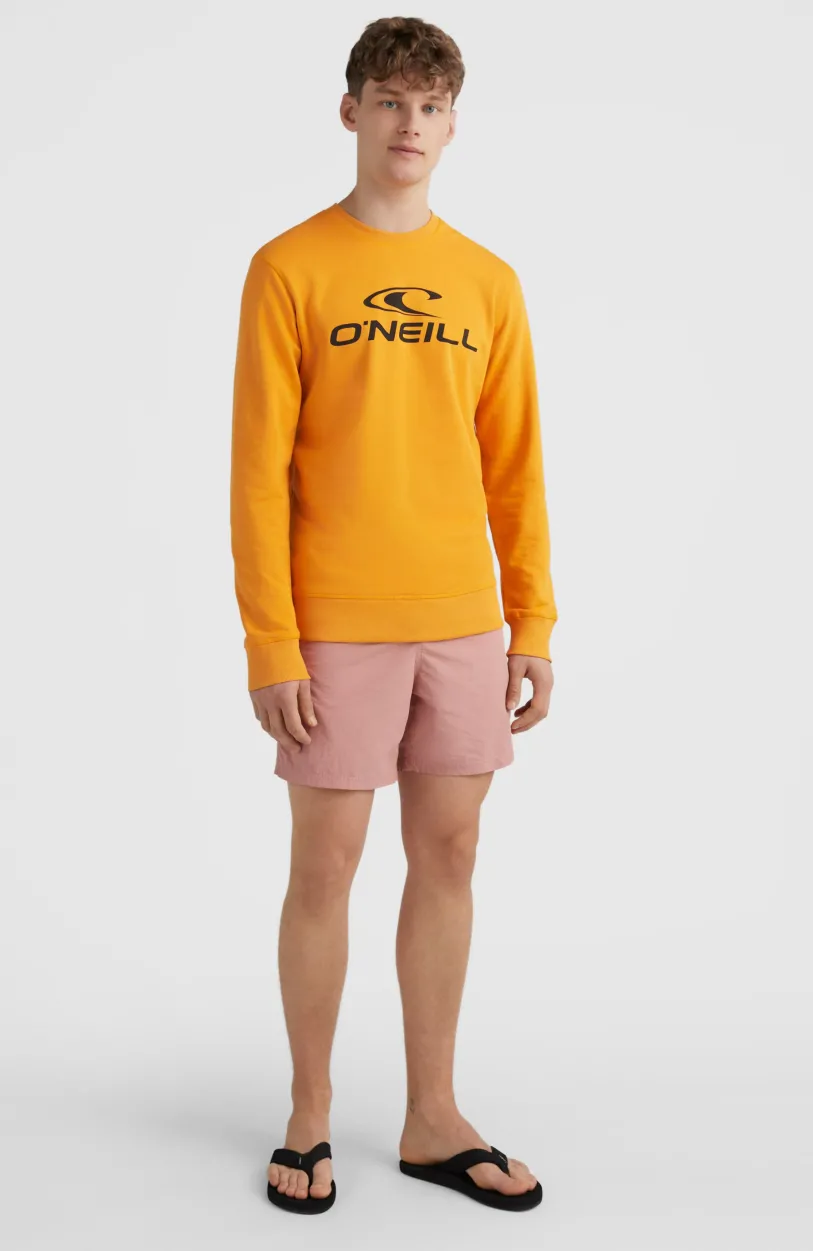 New O’Neill O'Neill Logo Crew Sweater | Nugget