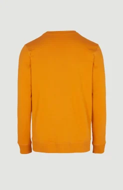 New O’Neill O'Neill Logo Crew Sweater | Nugget
