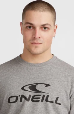 Discount O’Neill O'Neill Logo Crew Sweater | Silver Melee