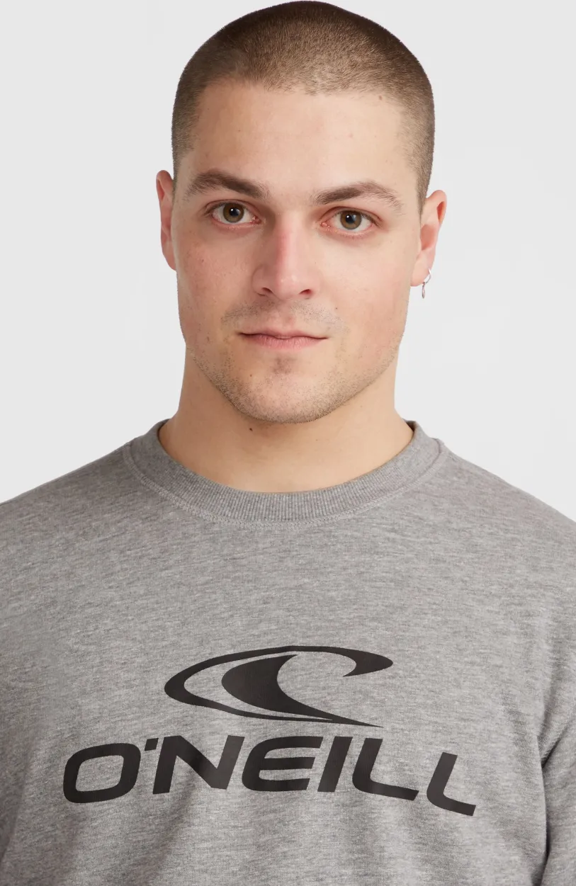 Discount O’Neill O'Neill Logo Crew Sweater | Silver Melee