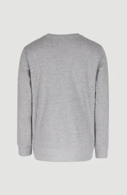 Discount O’Neill O'Neill Logo Crew Sweater | Silver Melee