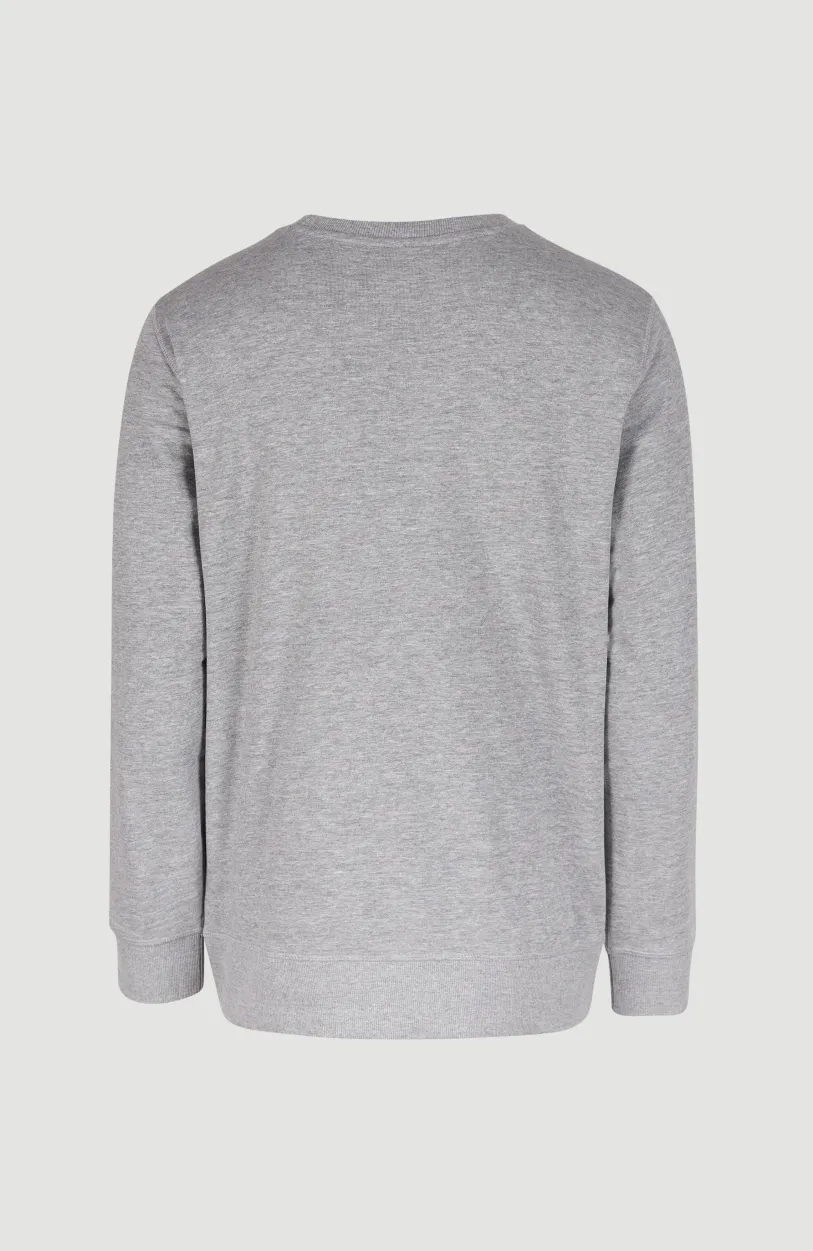 Discount O’Neill O'Neill Logo Crew Sweater | Silver Melee