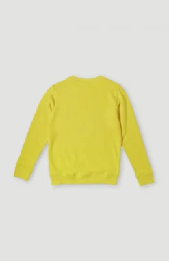 Hot O’Neill O'Neill Logo Crew Sweater | Empire Yellow