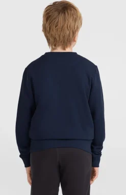 Clearance O’Neill O'Neill Logo Crew Sweater | Ink Blue