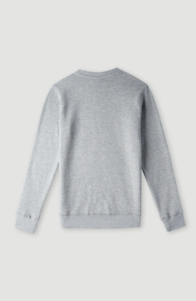 Sale O’Neill O'Neill Logo Crew Sweater | Silver Melee