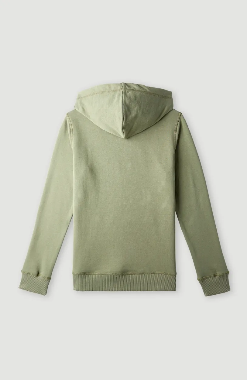 Online O’Neill O'Neill Logo Hoodie | Deep Lichen Green