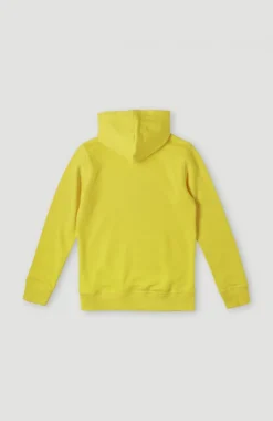 Clearance O’Neill O'Neill Logo Hoodie | Empire Yellow
