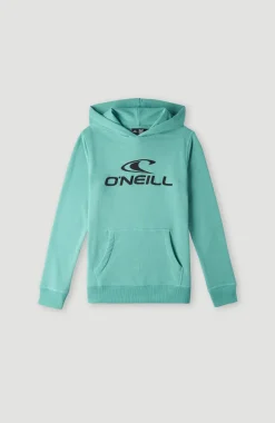 Online O’Neill O'Neill Logo Hoodie | Sea Green