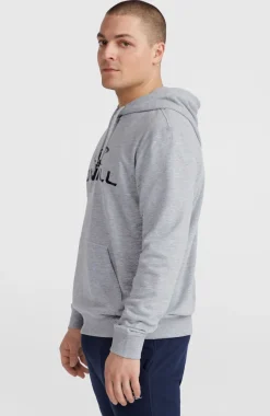 Outlet O’Neill O'Neill Logo Hoodie | Silver Melee