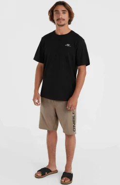 Outlet O’Neill O'Neill Logo Sweatshort | Pumpkin Smoke