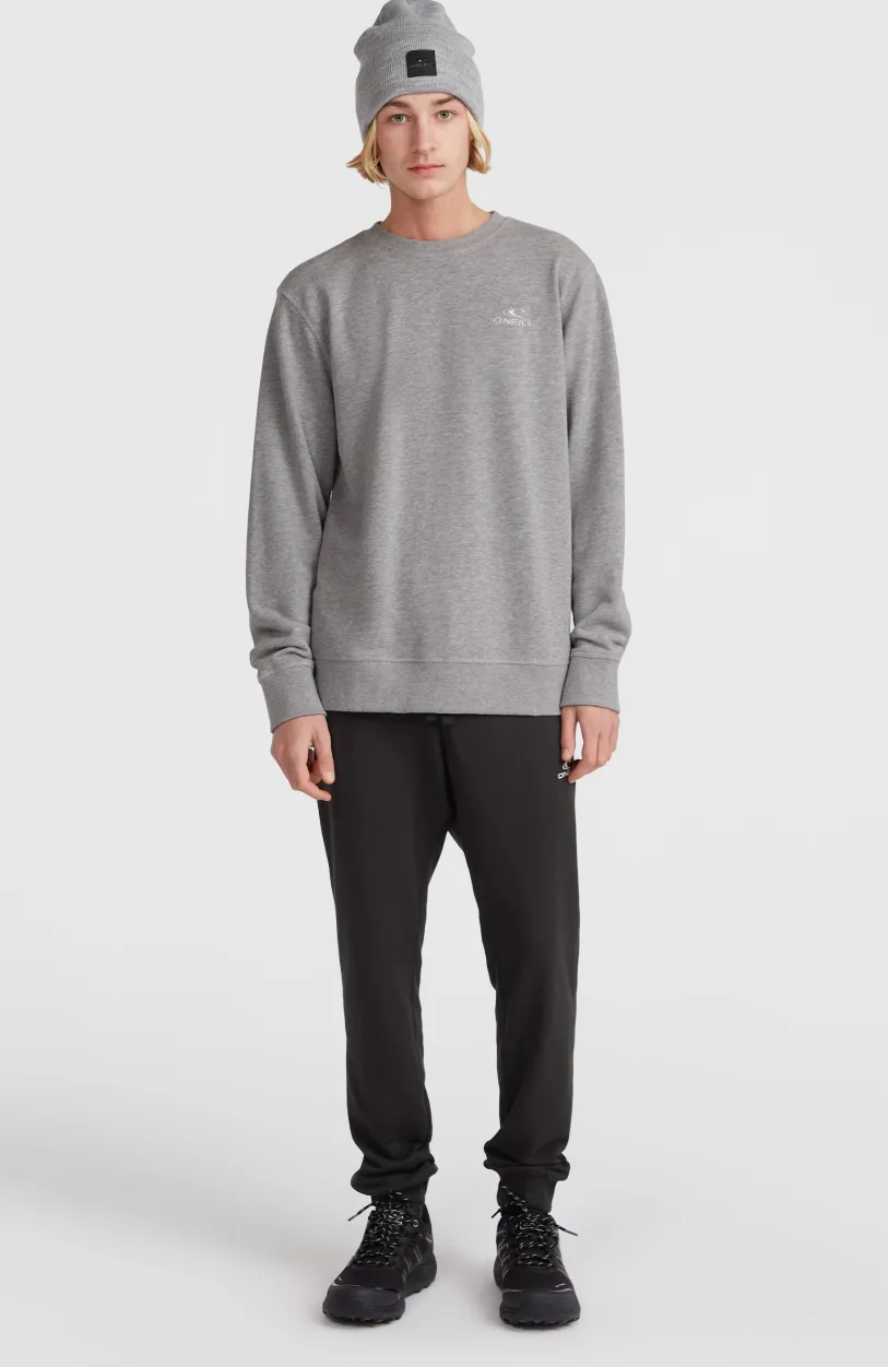 Discount O’Neill O'Neill Small Logo Crew Sweater | Silver Melee