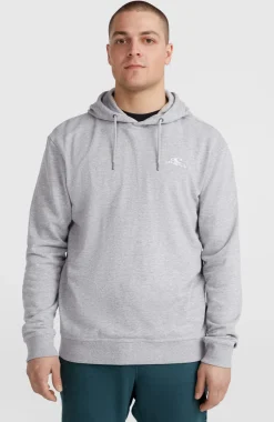 O’Neill O'Neill Small Logo Hoodie | Silver Melee