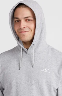 O’Neill O'Neill Small Logo Hoodie | Silver Melee