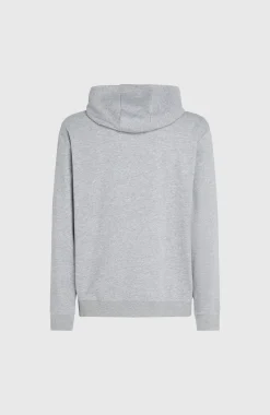 O’Neill O'Neill Small Logo Hoodie | Silver Melee