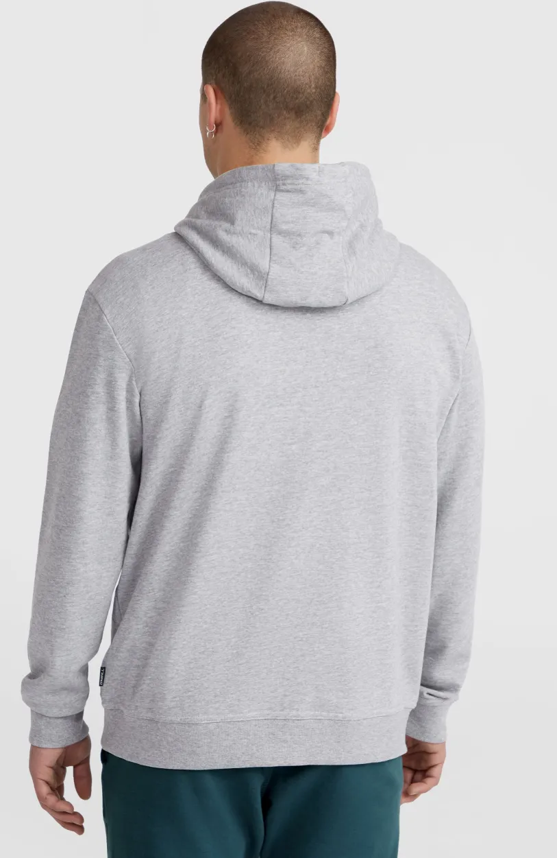 O’Neill O'Neill Small Logo Hoodie | Silver Melee