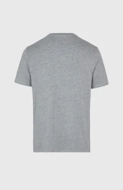 Outlet O’Neill O'Neill Small Logo T-shirt | Silver Melee