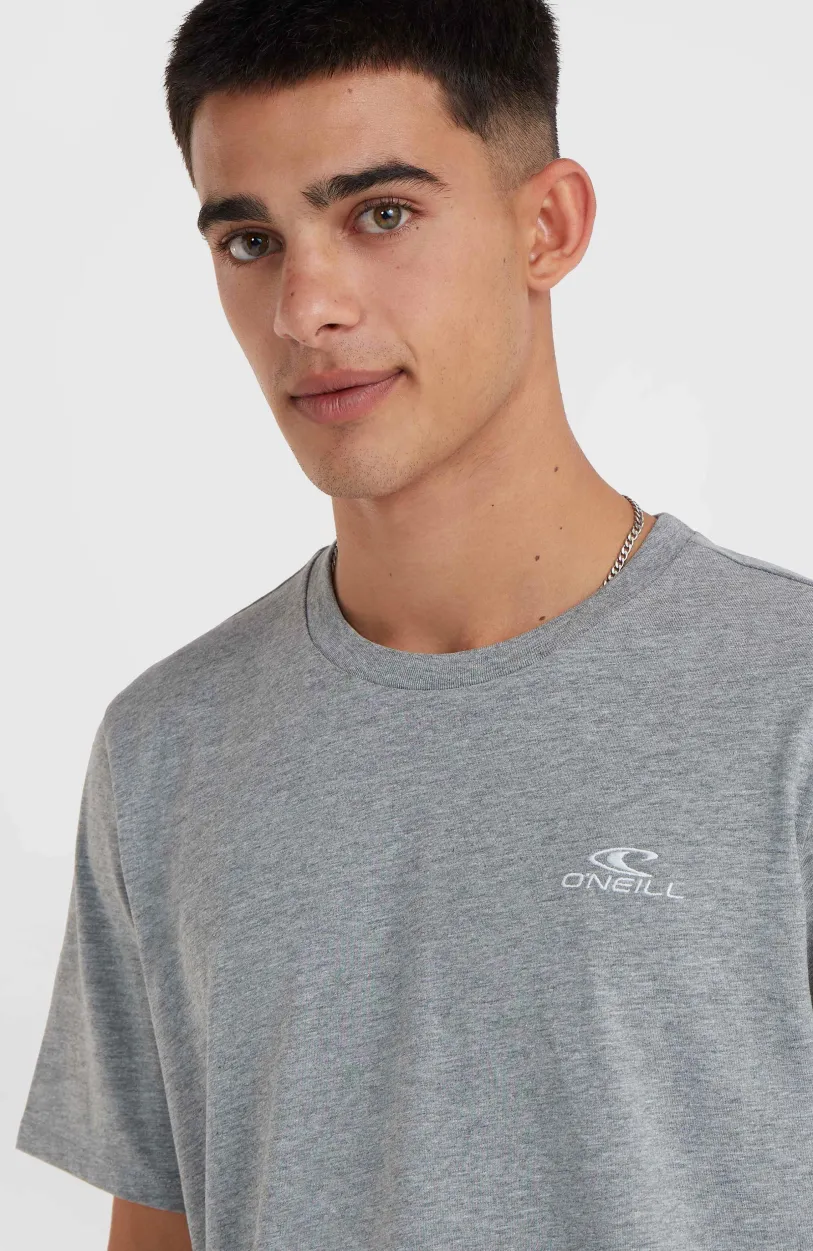 Outlet O’Neill O'Neill Small Logo T-shirt | Silver Melee