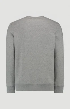 Outlet O’Neill O'Neill Triple Stack Crew Sweatshirt | Silver Melee -A