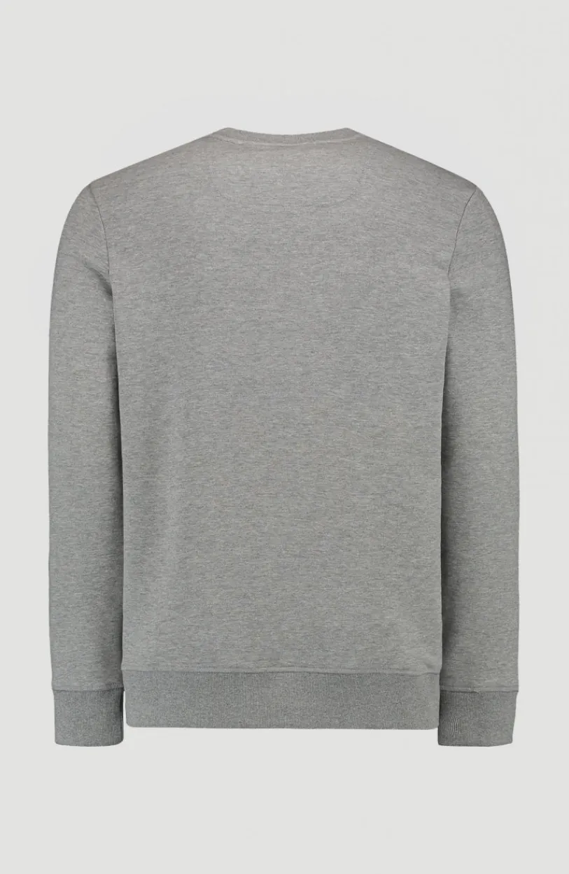 Outlet O’Neill O'Neill Triple Stack Crew Sweatshirt | Silver Melee -A