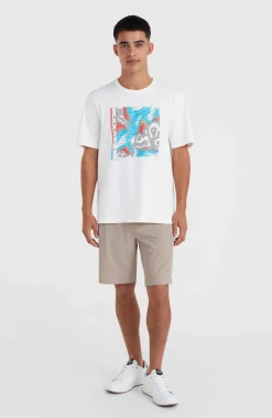 Sale O’Neill O'Neill TRVLR Series Stretch Short | Pumpkin Smoke