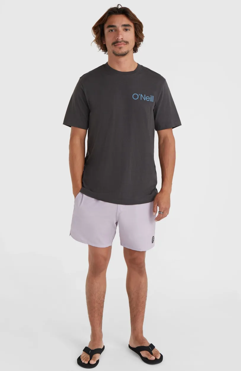 Sale O’Neill O’Riginals Volley 16" Swim Shorts | Iris