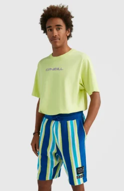 O’Neill Short Brights Terry | Blue Towel Stripe