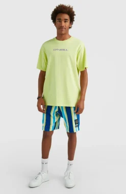 O’Neill Short Brights Terry | Blue Towel Stripe