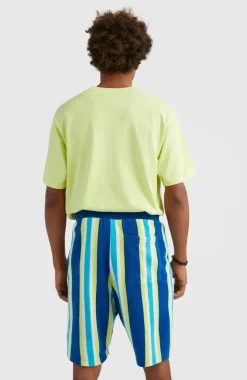 O’Neill Short Brights Terry | Blue Towel Stripe