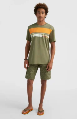 New O’Neill Short Park Cargo | Deep Lichen Magic Carpet