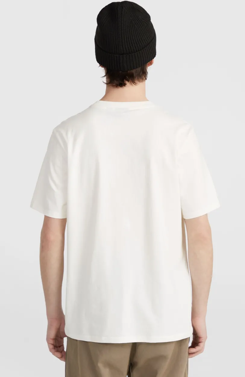 Hot O’Neill Small Chest Print T-shirt | Snow White