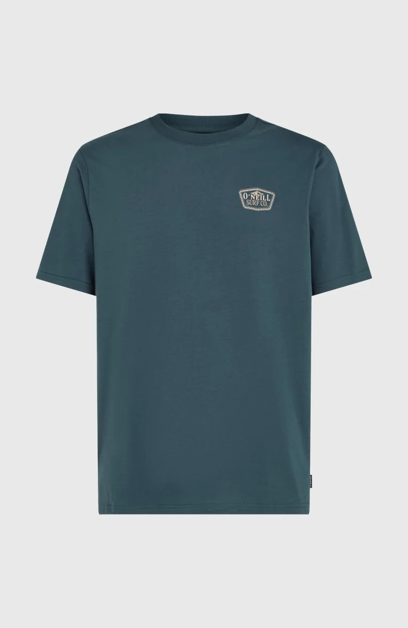 O’Neill Small Chest Print T-shirt | Alma Steel