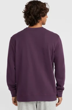 Outlet O’Neill Small Logo Crew Sweater | Aubergine