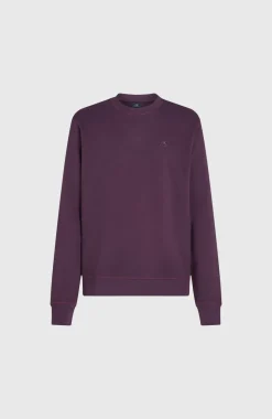 Outlet O’Neill Small Logo Crew Sweater | Aubergine