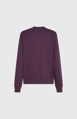 Outlet O’Neill Small Logo Crew Sweater | Aubergine