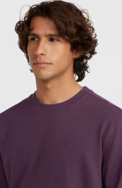 Outlet O’Neill Small Logo Crew Sweater | Aubergine