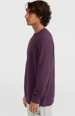 Outlet O’Neill Small Logo Crew Sweater | Aubergine