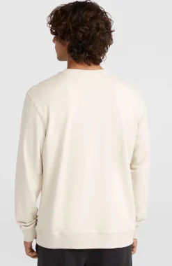 Hot O’Neill Small Logo Crew Sweater | Atmosphere