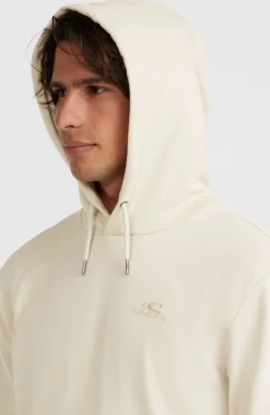 Outlet O’Neill Small Logo Hoodie | Atmosphere