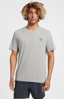 Sale O’Neill State Emblem T-shirt | Silver Melee